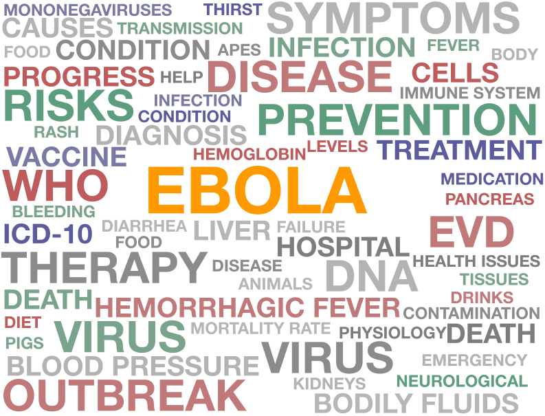 Ebola Virus and Epidemic