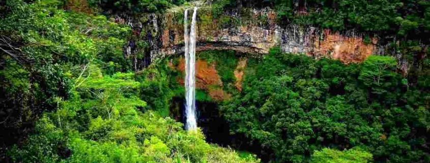 Mauritius Insurance